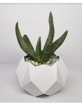 Macetero Blanco Hexagonal 3D PLA