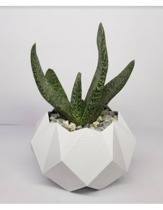 Macetero Blanco Hexagonal 3D PLA