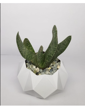 Macetero Blanco Hexagonal 3D PLA