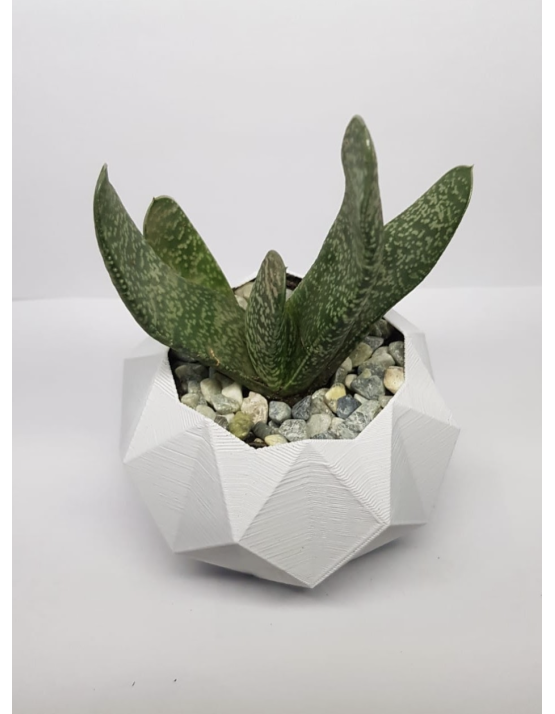 Macetero Blanco Hexagonal 3D PLA